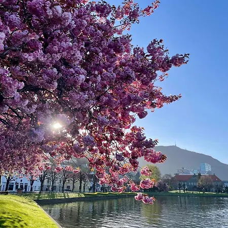 Lovely With A View, Garden And Parking * Bergen